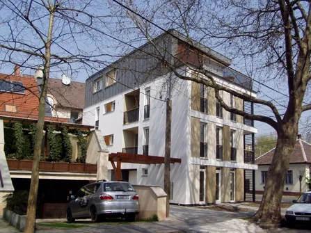 2. kép